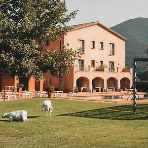 Hotel Vall De Bas